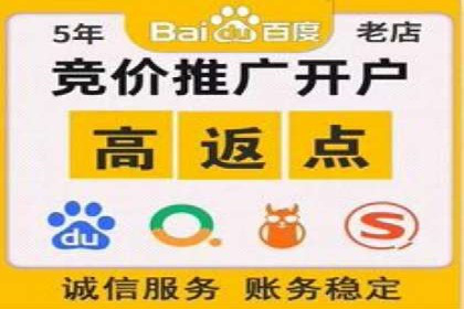 百度推广在电商领域的应用：成功提升销售额的秘诀